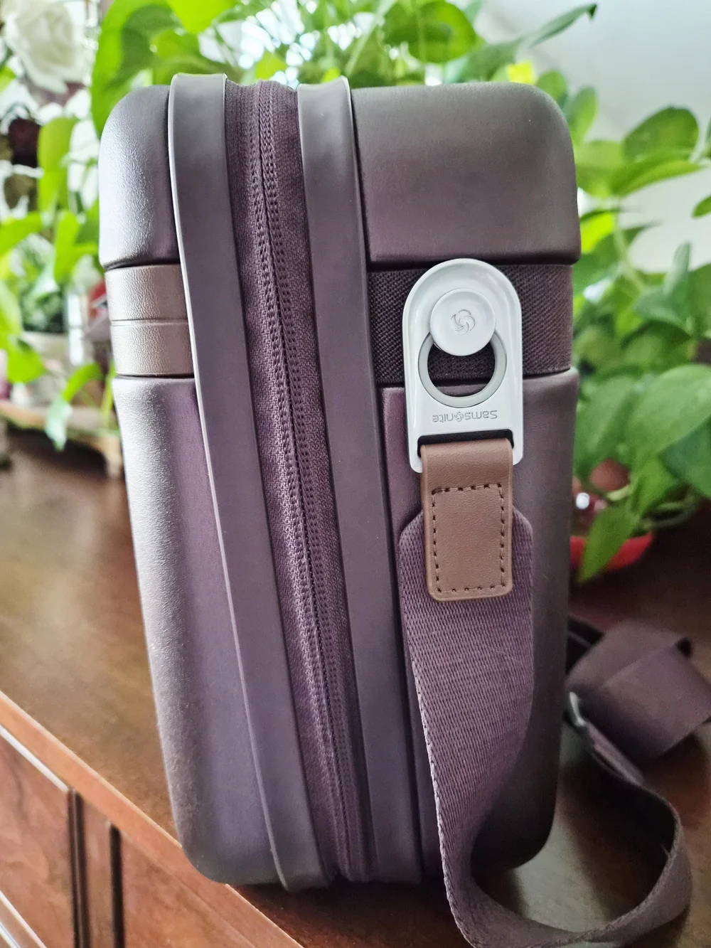 Samsonite Virtuosa Train Case
